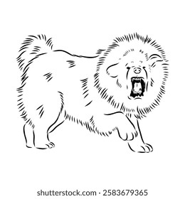 Tibetan Mastiff dog hand drawn sketch. Rare purebred dog illustration.