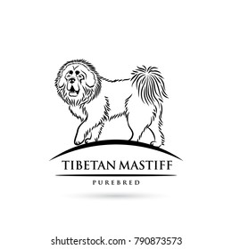 Tibetan Mastiff dog - isolated vector illustration