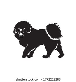 Tibetan Mastiff dog - vector illustration
