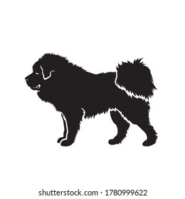 Tibetan Mastiff dog - vector illustration
