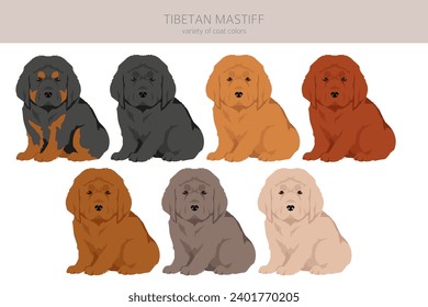 Tibetan mastiff puppies clipart. Different poses, coat colors set.  Vector illustration