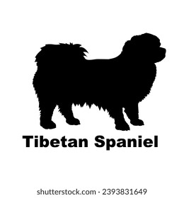 Tibetan Spaniel Dog silhouette dog breeds logo dog monogram logo dog face vector