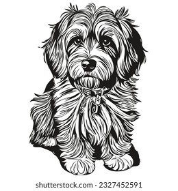 Tibetan Terrier dog logo vector black and white, vintage cute dog head engraved realistic breed pet