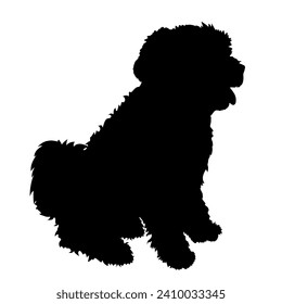 Tibetan Terrier Dog on the move. Dog in different poses. jumps runs. The dog is sitting. The dog is lying down playing