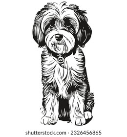 Tibetan Terrier dog pet sketch illustration, black and white engraving vector