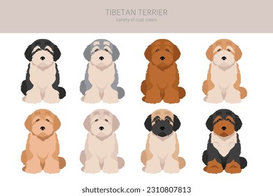 Tibetan terrier puppy clipart. Different poses, coat colors set.  Vector illustration