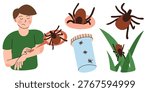 Tick Bite and Exposure Set. Flat vector illustration of human skin reaction, ticks on body, clothing and grass, Lyme disease risk. Concept for medical, healthcare and outdoor safety design.