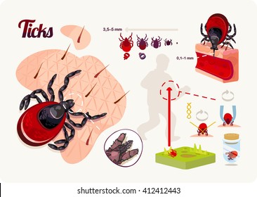 Tick borne encephalitis. Set to create infographic about ticks.