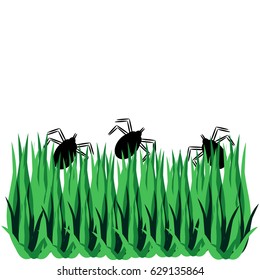 Tick with grass isolated on white background. Vector illustration.