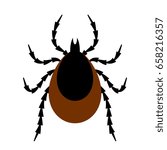 Tick insect vector illustration on white background
