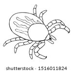 Tick Line drawing - Vector illustation