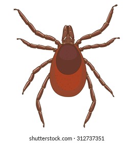 tick mite insect vector illustration