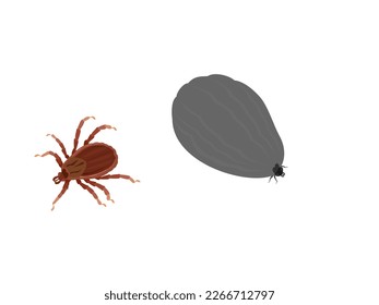 tick on a white background.