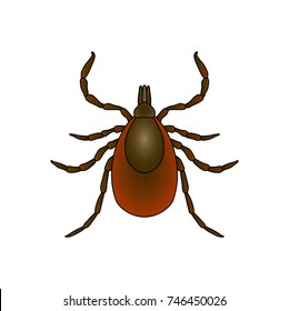 Tick parasite. hand-drawn Sketch of Tick. Mite. Tick isolated on white background. Vector illustration