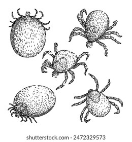 conjunto de garrapatas dibujado a mano. mordedura de ácaro, animal parásito, chinche de cama Vector de garrapata boceto. ilustración aislada negra