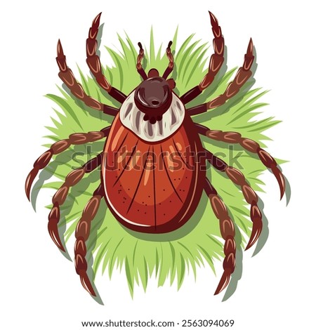 Tick, vector illustration, tick on the grass.