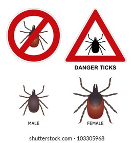 Tick warning sign, detailed illustration of male and female ticks.