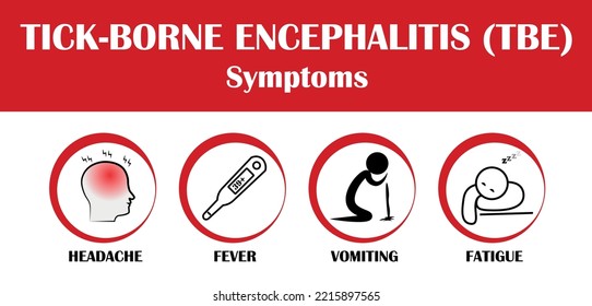 Tick-borne encephalitis symptoms, Flat style vector illustration isolated on white background.