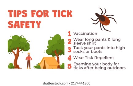 Ticks safety tips, mite bites prevention infographics, flat vector illustration on white background. Dangerous insects caution. Vaccination, closed clothing, tick repellent and examination.