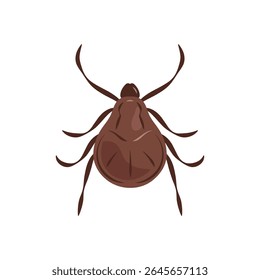Ticks seen from above. Brown tick illustration.
