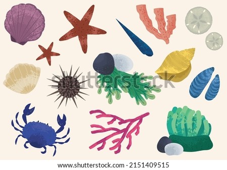 Similar – Image, Stock Photo low tide Low tide