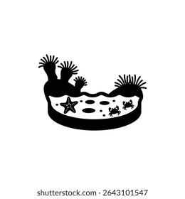 Tide Pool with Diverse Sea Life and Marine Creatures