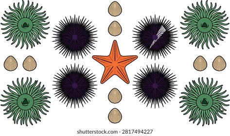 Tide Pool Marine Biology Vector Set with Orange Starfish Purple Sea Urchins Green Anemones and Scallop Shells Coastal Wildlife Pattern Design.eps