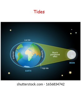 tides diagram. Low and high lunar tides. Effect of Moon gravitational force on seacoast water level. vector illustration for astronomy, geography, educational and science for kids.