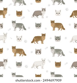 Tiffany Cat, Asian semi-longhair cat Tiffanie seamless pattern. All coat colors set.  All cat breeds characteristics infographic. Vector illustration