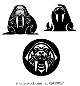 Tiga ilustrasi walrus hitam putih bergaya dengan berbagai tingkat detail