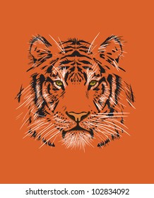 tiger