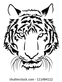 tiger