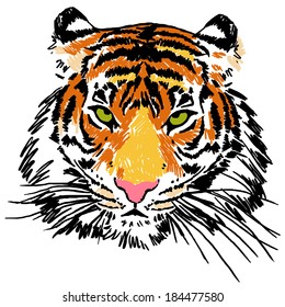 tiger