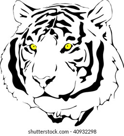 tiger