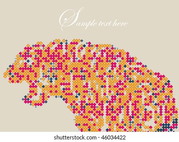 tiger