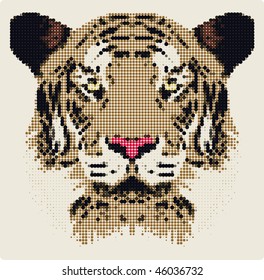 tiger