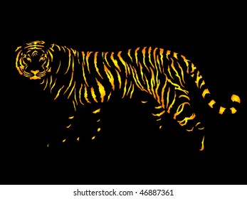 tiger