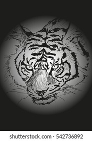 tiger