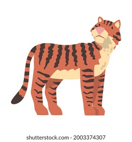 Tiger African Animal, Wild Predator Jungle Animal Cartoon Vector Illustration