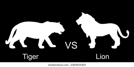 Tiger against lion vector silhouette illustration isolated on black background. Big dangerous cat from Asia vs animal king pride of Africa. Wildlife predator battle. Leo symbol. Strong powerful feline