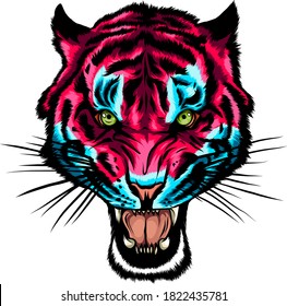 Tiger anger. Vector illustration of a tiger head.