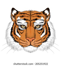 Tiger anger. Vector illustration of a tiger head.