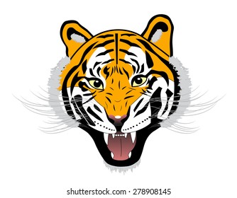 Tiger anger. Vector illustration of a tiger head on white background