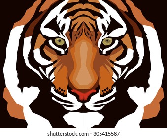 Tiger anger. Vector illustration of a tiger head.