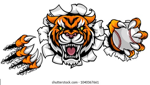 A Tiger angry animal sports mascot holding a baseball ball and breaking through the background with its claws