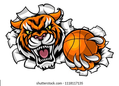 A Tiger angry animal sports mascot holding a basketball ball and breaking through the background with its claws