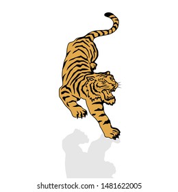 Tiger angry face on the white background, Vector illustration