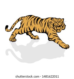 Tiger angry face on the white background, Vector illustration