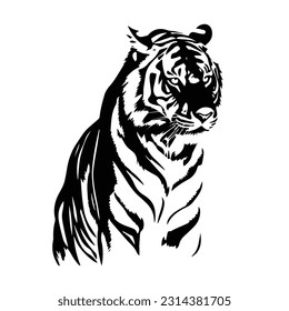 Tiger animal black and white images