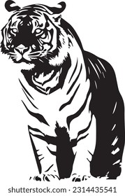 Tiger animal black and white images